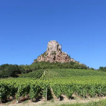Roche de Solutré en éperon au-dessus du vignoble