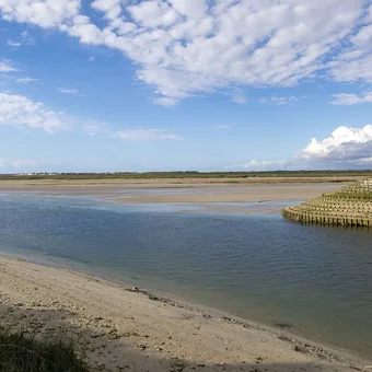 Bancs de sable et chenaux de la baie de Somme à marée basse