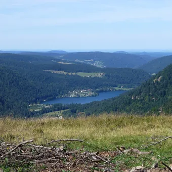 Lac de Longemer au creux des forêts de sapins des Vosges