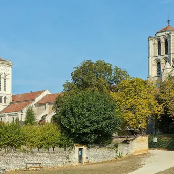 Basilique romane de Vézelay au sommet de sa colline, entourée d'arbres