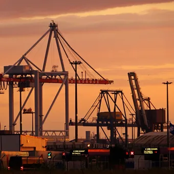 Les grues du port de Dunkerque au coucher du soleil